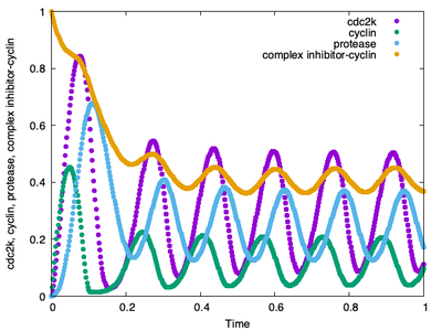 With the `time-scaling` properly set, the Gardner model runs through 6 cycles again.