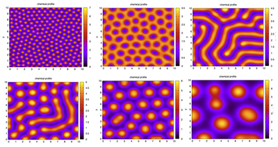 A variety of patterns formed by the Schnakenberg RD system with noisy initial conditions but with various values of the time-scale parameter $\gamma$. In each case, the system was integrated until $t = 1000$ using the Morpheus file [`Schnakenberg2Db.xml`](#downloads).