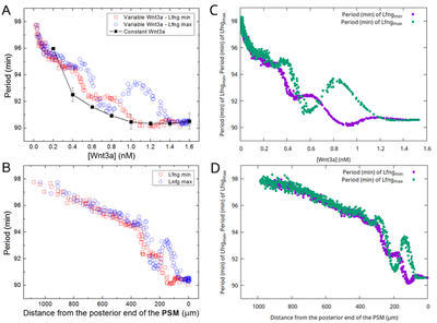 Clock period profiles match between the original and Morpheus model