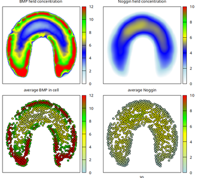 Final state of the model simulation.