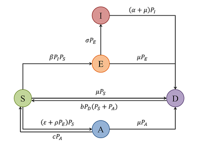 Cell State Transitions