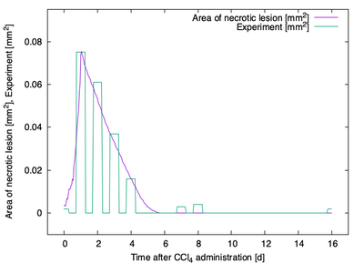 Figure 5. Morpheus Simulation. Time course of the necrotic lesion in Morpheus' CPM simulation (purple curve) compared to the experimental data from [Höhme _et al._](#reference) (green bars)