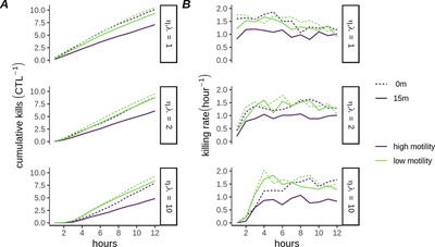 [Fig. 4A-B](https://journals.plos.org/ploscompbiol/article?id=10.1371/journal.pcbi.1007972#pcbi-1007972-g004): A) Mean cumulative killing over time ($\text{CTL}^{-1}$) for CPM simulations of high- and low- motility CTLs&nbsp;($\eta,\lambda = 1,2$ or $10$) B) Mean killing rate ($\text{CTL}^{-1}$) for each simulated condition in A. ([CC BY 4.0](https://creativecommons.org/licenses/by/4.0/): [**Beck *et al.***](#reference))