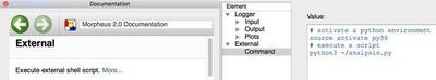 Run external `bash` or `python` scripts during simulation as part of the Morpheus job.