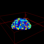 Proliferation in Three Dimensions