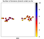 Correlated Random Walkers