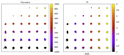 Equilibrium cell shapes for a **CSM** parameter set in an **hexagonal** lattice. Panels differ by color coding $J$ and $λ_p$ respectively.